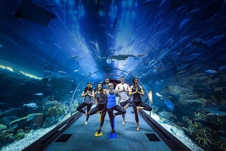 Immerse in the wonders of the sea at the Dubai Aquarium and Underwater Zoo where diverse marine life surrounds you creating unforgettable memories and unique experiences in every moment.